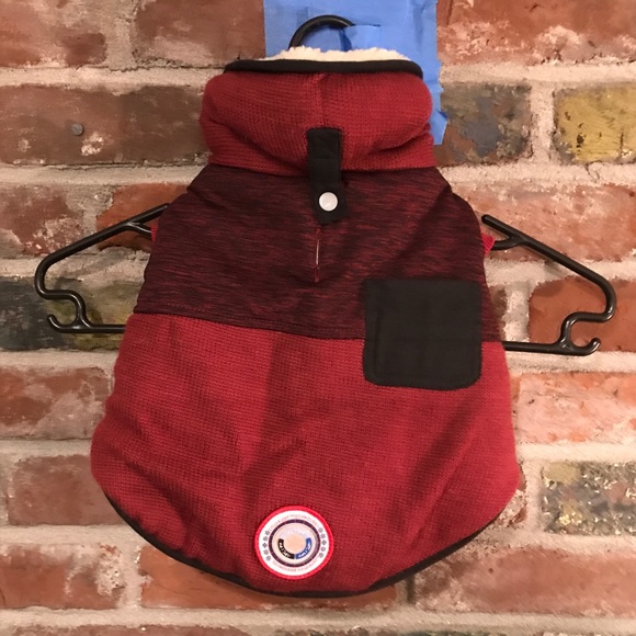 cold alert dog jacket